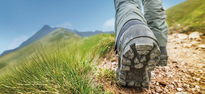 Hình thành và phát triển