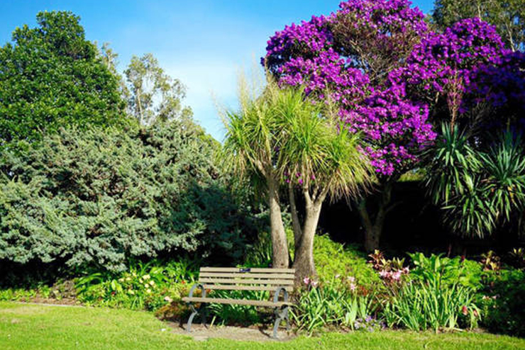 Khám phá đất nước xinh đẹp của những chú chuột túi kangaroo