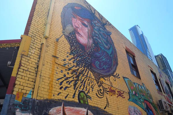 Khám phá đất nước xinh đẹp của những chú chuột túi kangaroo