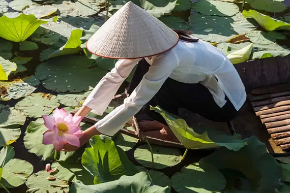 Khu du lịch Đồng Sen Tháp Mười