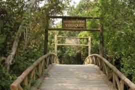 Khu di tích Xẻo Quýt