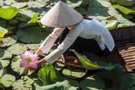 Khu du lịch Đồng Sen Tháp Mười