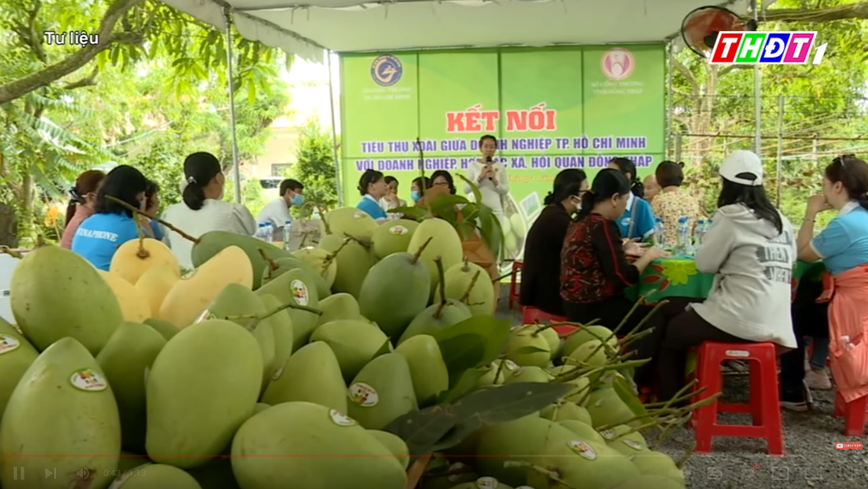 LỄ HỘI XOÀI CAO LÃNH 2022