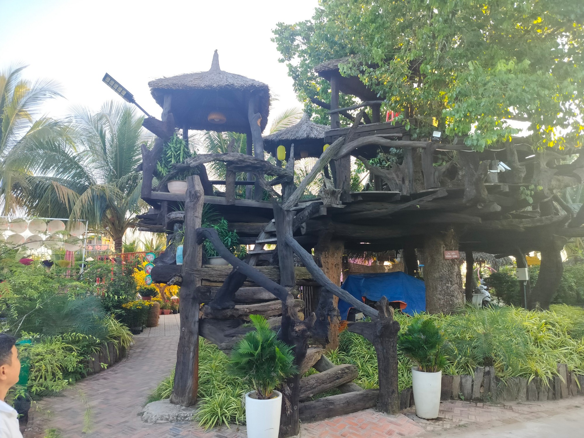 Cồn Én - Hành trình sông nước