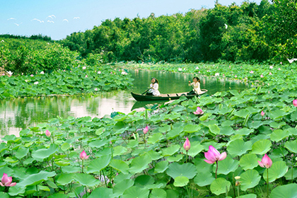 Làng Hoa Sa Đéc - Vườn Quýt Hồng Lai Vung