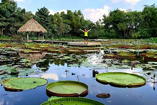 Làng Hoa Sa Đéc - Vườn Quýt Hồng Lai Vung