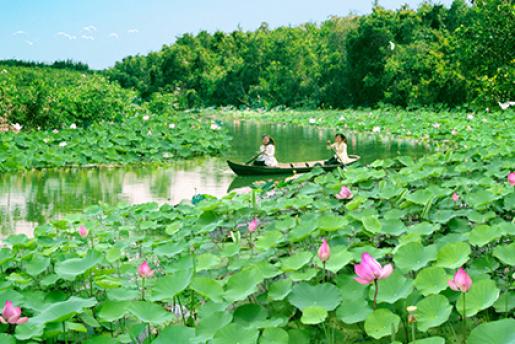 Làng Hoa Sa Đéc - Vườn Quýt Hồng Lai Vung