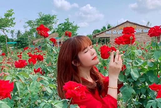 Làng Hoa Sa Đéc - Vườn Quýt Hồng Lai Vung