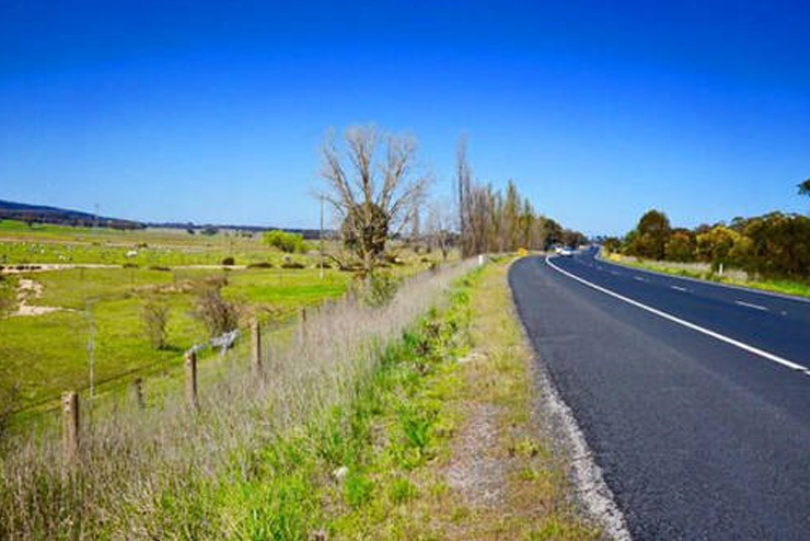 Video khám phá đất nước xinh đẹp của những chú chuột túi kangaroo