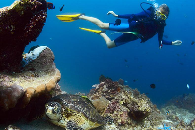 Video khám phá đất nước xinh đẹp của những chú chuột túi kangaroo