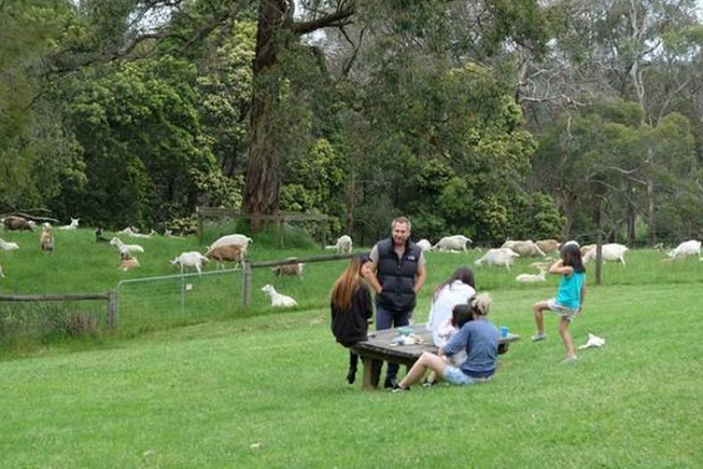 Video khám phá đất nước xinh đẹp của những chú chuột túi kangaroo